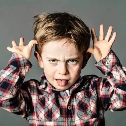 Strong for Life Functional family therapy